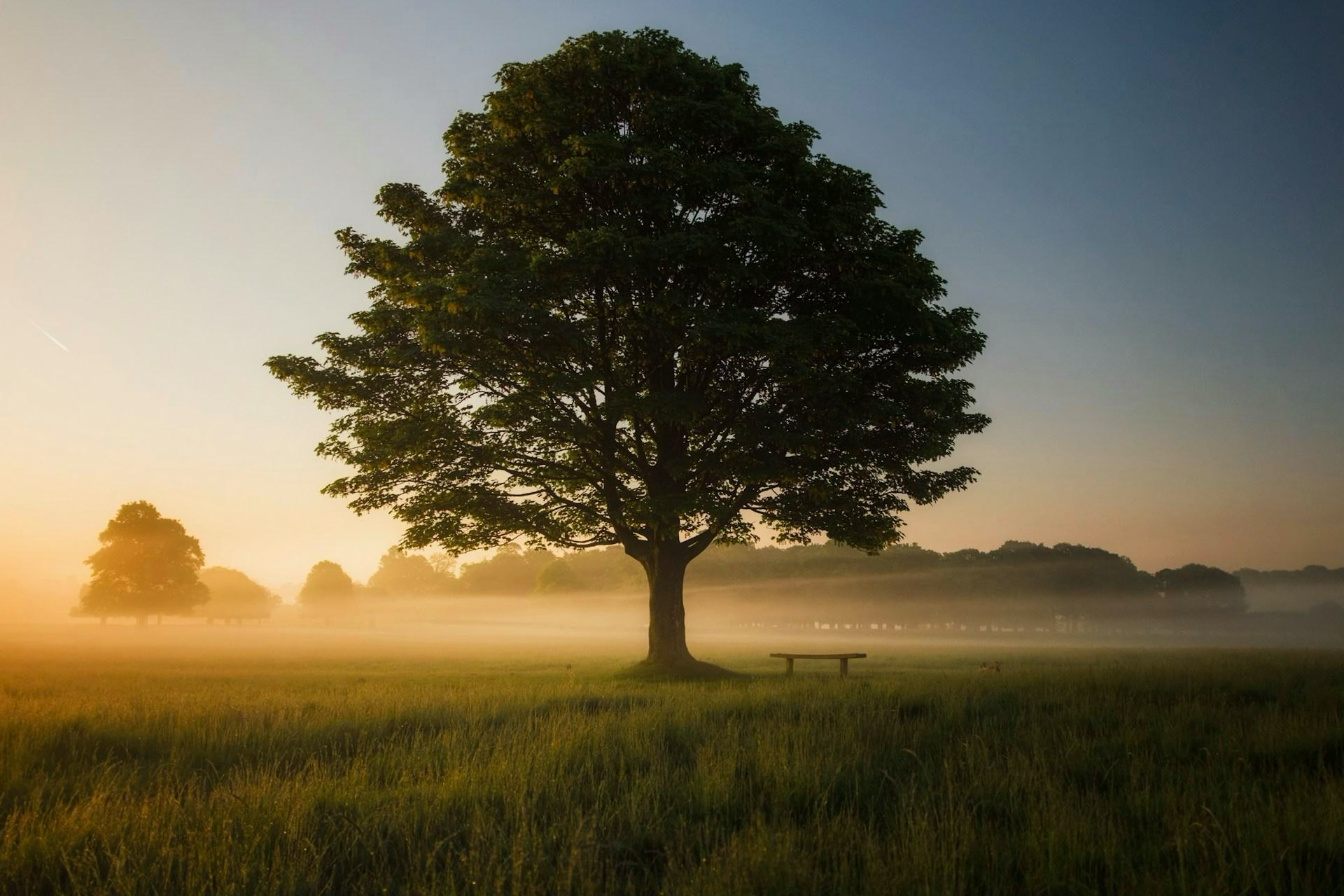 Discover silence. Change your life