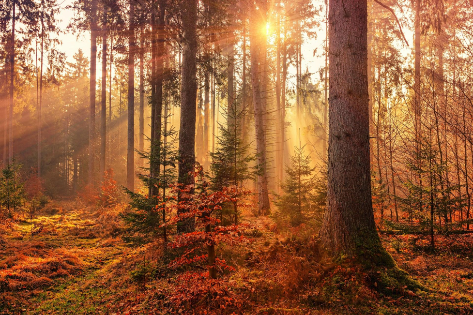 Meditation retreats