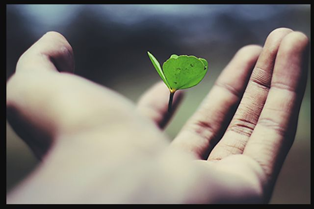 Can doubt about repeating the meditation sound say something about one's relationship to life?
