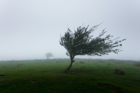 How to deal with restlessness in meditation